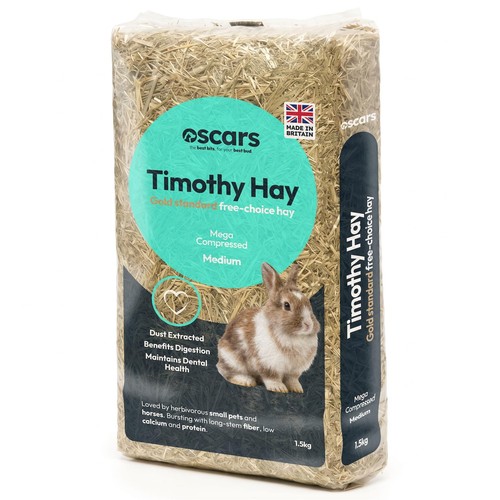 Timothy hay guinea pig - guinea,