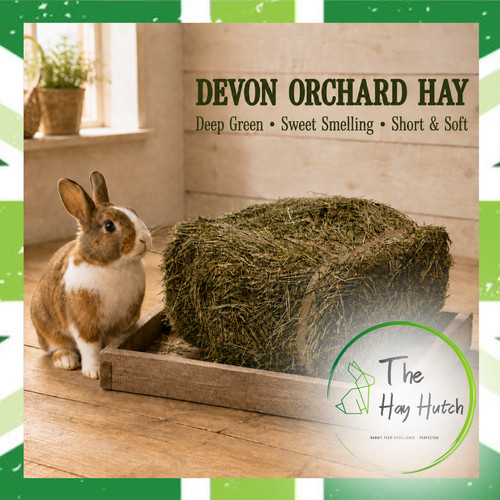 3kg mini bales devon - 3kg,