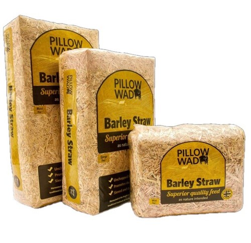 Pillow wad barley - pillow, straw