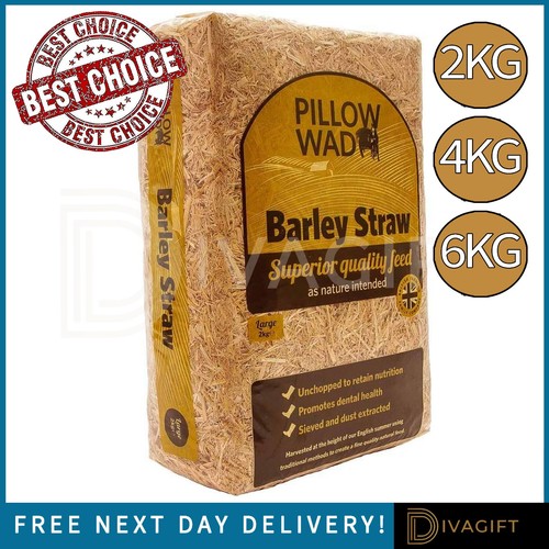 Pillow wad barley straw - pillow,