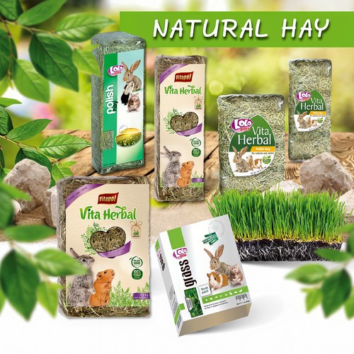 Pure hay grass - /, rabbit