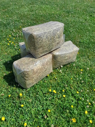 Meadow hay high - #,