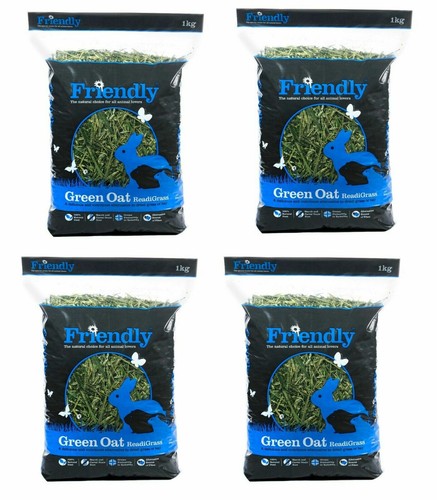 Friendly green oat - oat, readigrass