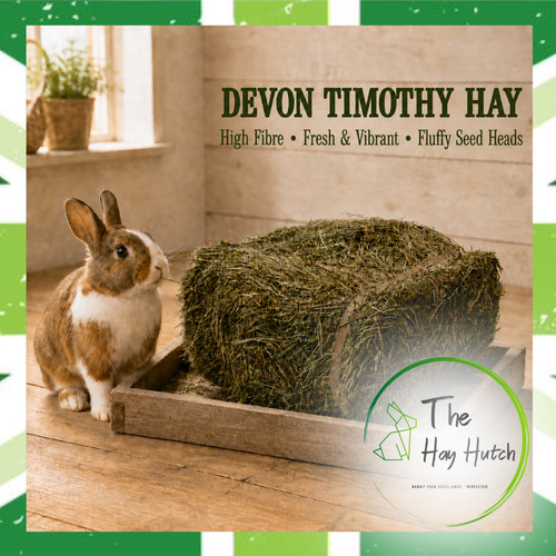 3kg mini bales devon - mini,