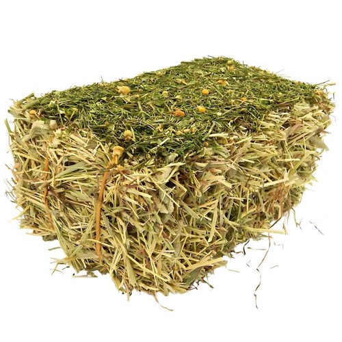 Mini hay bale for rabbits - bale,