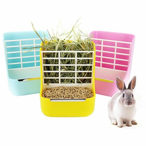 Rabbit guinea pig - 2,
