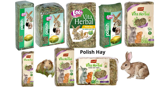 Hay natural dried food for - dried,