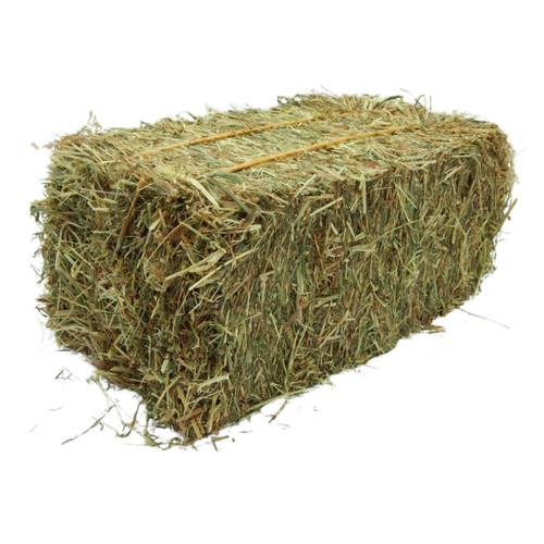 Mini hay bale - for, rabbits