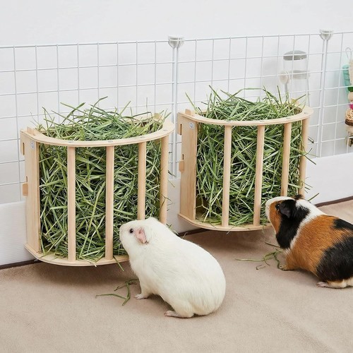 2pcs wooden guinea pig - wooden,