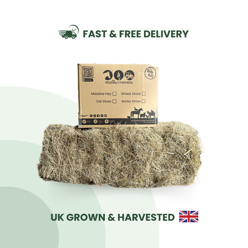 Hay guinea pig - food, box