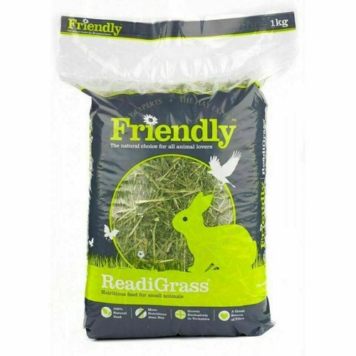 Friendly readigrass guinea - friendly,