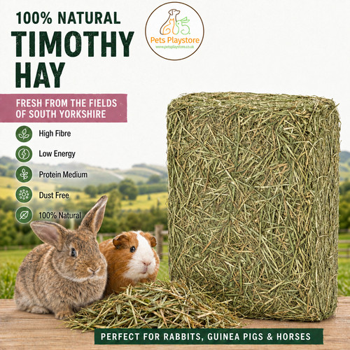 Timothy hay rabbit guinea - hay,, rabbit,