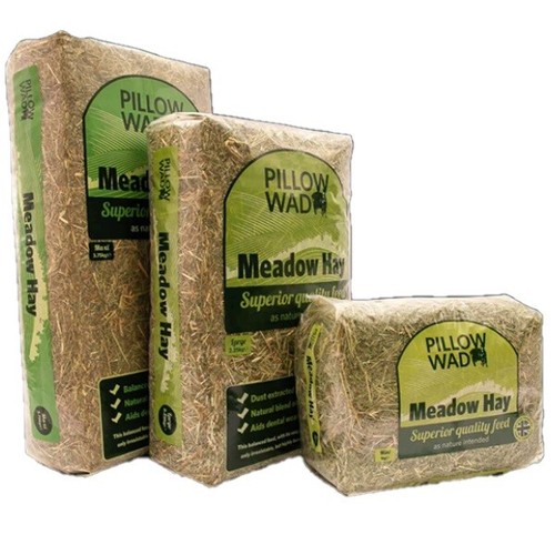 Pillow wad meadow - pillow, hay