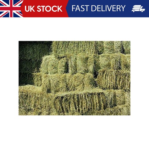Shorefields fresh meadow hay - fresh,