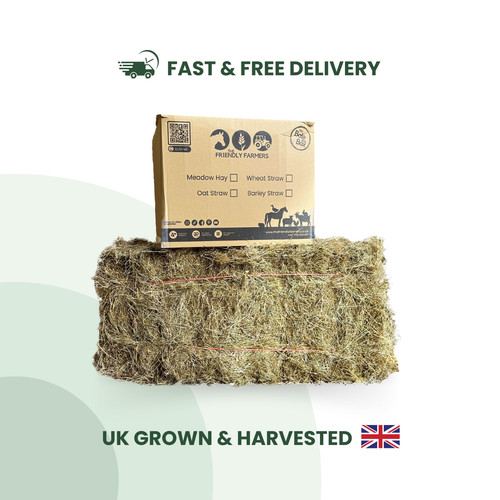 Timothy hay grass box high - box,