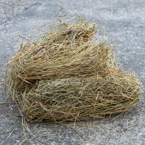 Natural straw pet bedding - pet,