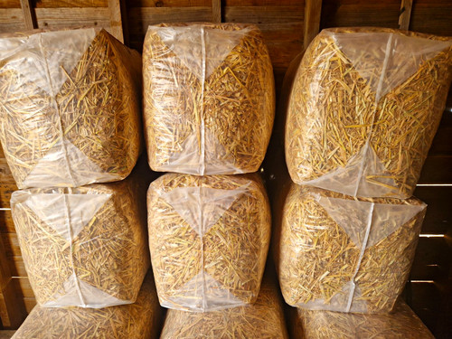 Large 5kg straw - straw, bedding
