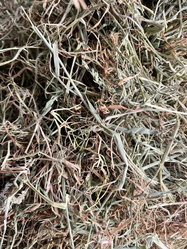 2kg fresh 2025 irish - irish, meadow