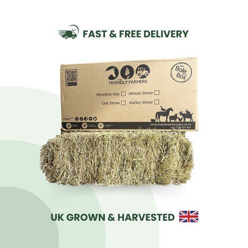 Hay guinea pig rabbit food - rabbit,